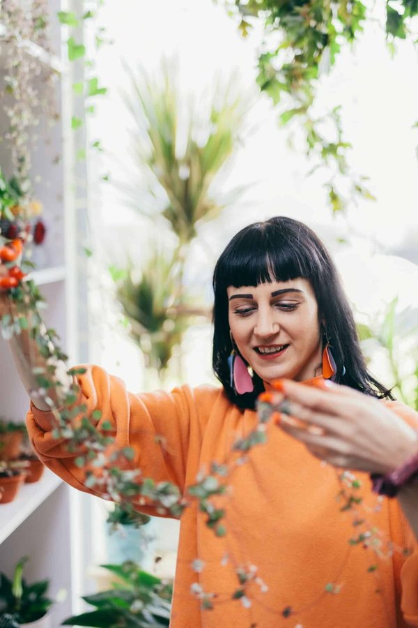 Les 10 plantes incontournables en phytothérapie